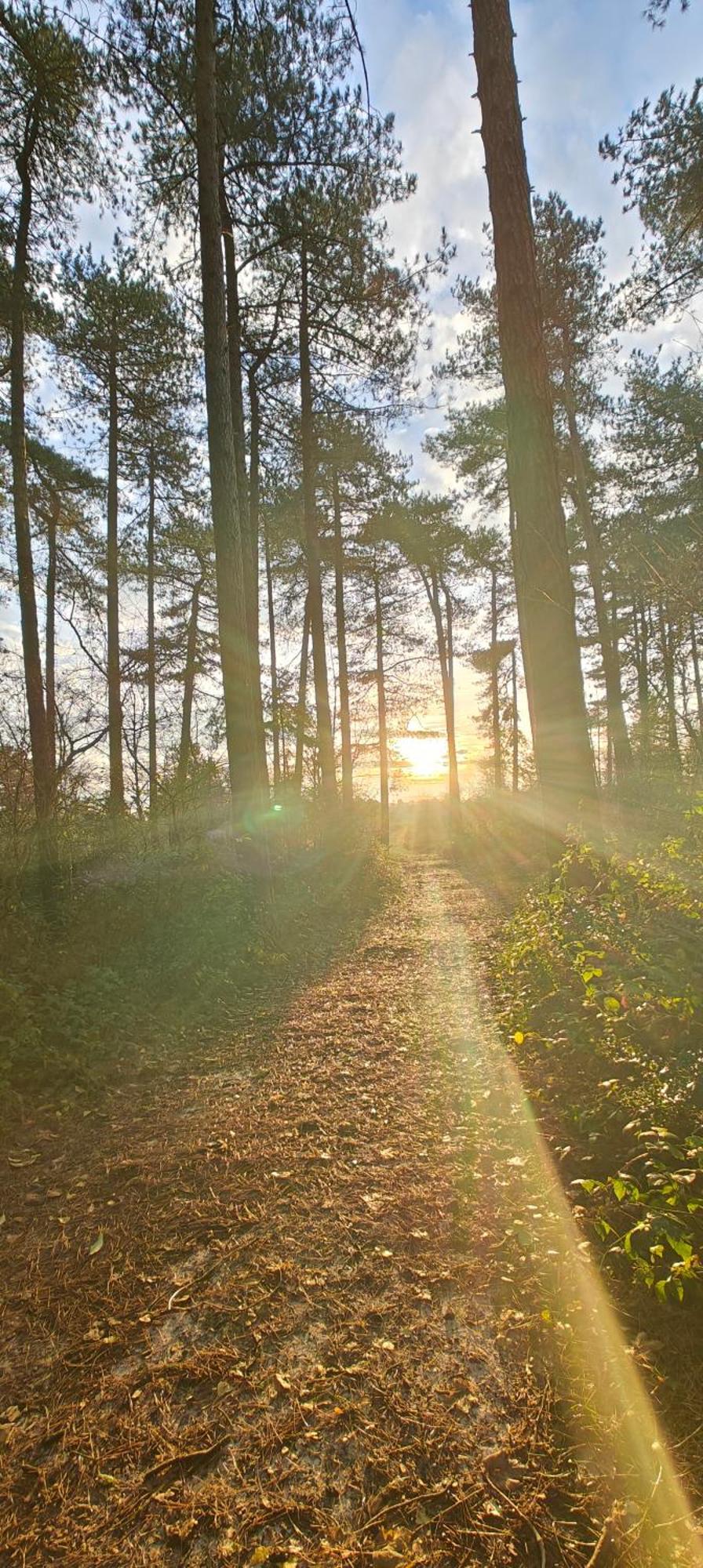 Pension Bakema Ameland Nes  Luaran gambar